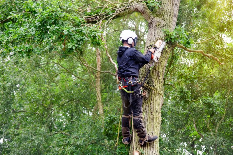 Specialized Arborists