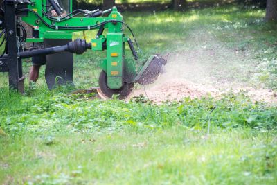 Professional Stump Grinding Services